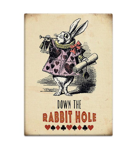 Alice in Wonderland - Rabbit Hole