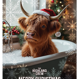 HIGHLAND CREW - Christmas Cow In Bath