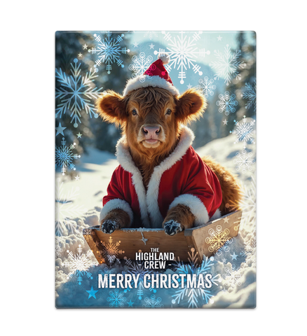 HIGHLAND CREW - Christmas Cow Sledging