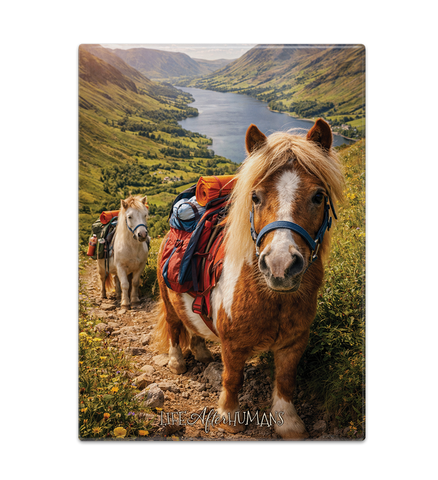 LIFE AFTER HUMANS - Pony Trekking