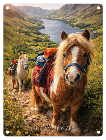 LIFE AFTER HUMANS - Pony Trekking