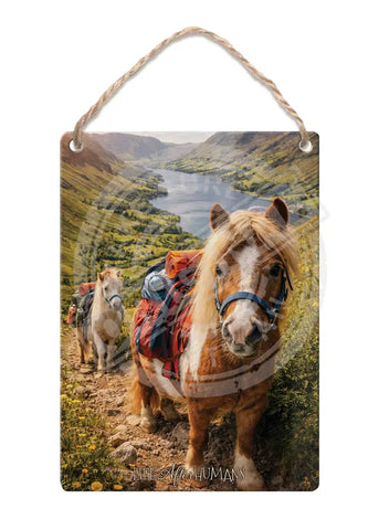 LIFE AFTER HUMANS - Pony Trekking Fridge Magnet Metal Signs