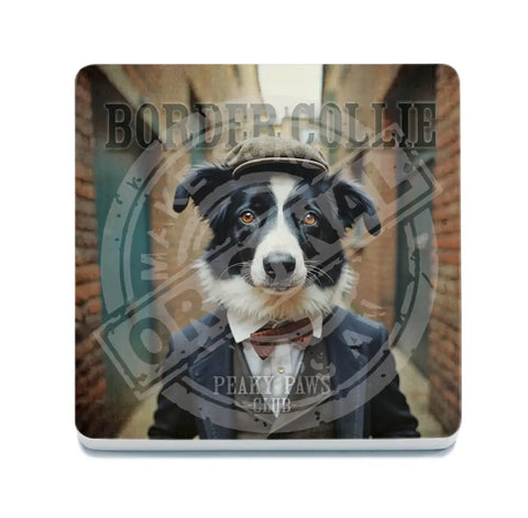 PEAKY PAWS CLUB - Border Collie