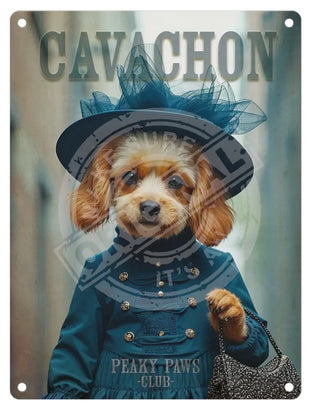 PEAKY PAWS CLUB - Cavachon Female Blue Mini Metal Sign 15cm x 20cm Metal Signs