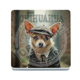 PEAKY PAWS CLUB - Chihuahua Melamine Coaster Metal Signs