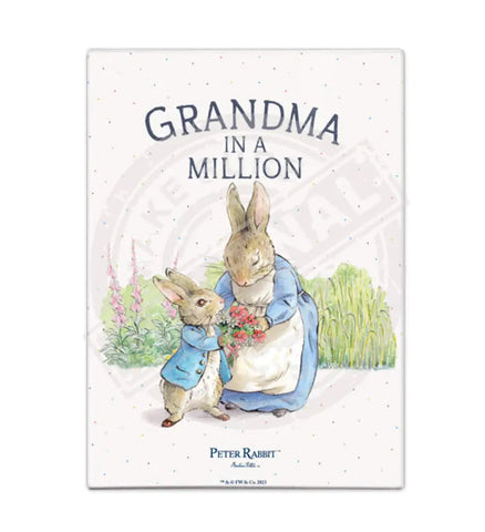 Peter Rabbit - Grandma in a million Mini Metal Sign 15cm x 20cm Metal Signs