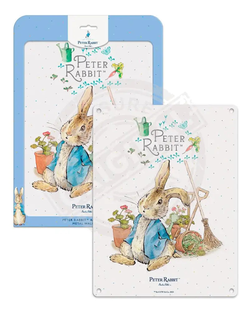 peter rabbit plant pot Peter Rabbit