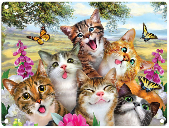 Funny Cats selfie metal sign