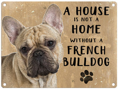 House is not a home - French Bulldog