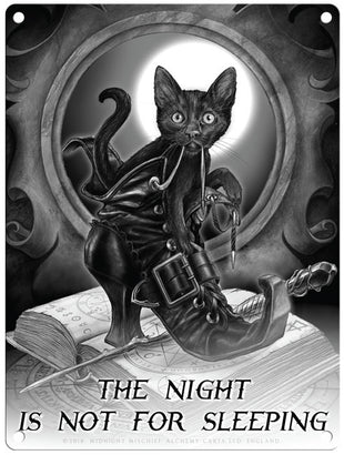 Alchemy The Night is not for sleeping. Black Cat in Boot