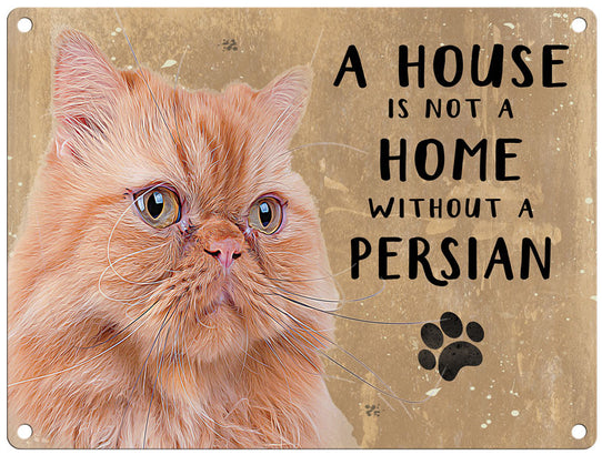 A house is not a home Persian cat metals sign