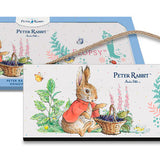 Peter Rabbit Flopsy Bunny with basket of blackberries wooden hanging sign
