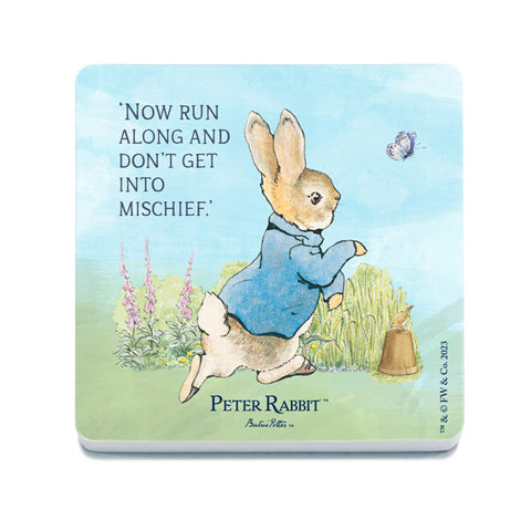 Beatrix Potter Peter Rabbit now run along metal wall sign