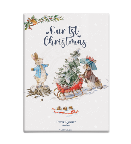 Peter Rabbit Christmas - Our First Christmas