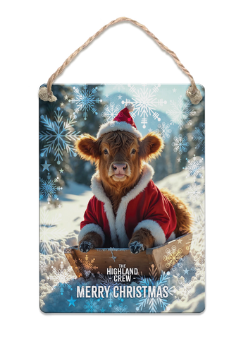 HIGHLAND CREW - Christmas Cow Sledging