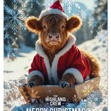 HIGHLAND CREW - Christmas Cow Sledging