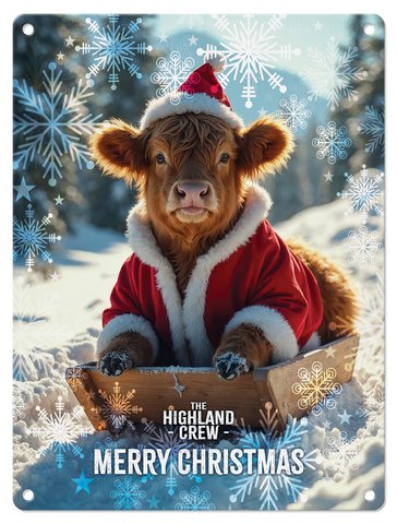 HIGHLAND CREW - Christmas Cow Sledging