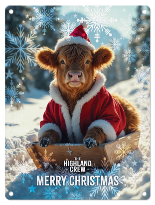 HIGHLAND CREW - Christmas Cow Sledging