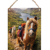 LIFE AFTER HUMANS - Pony Trekking