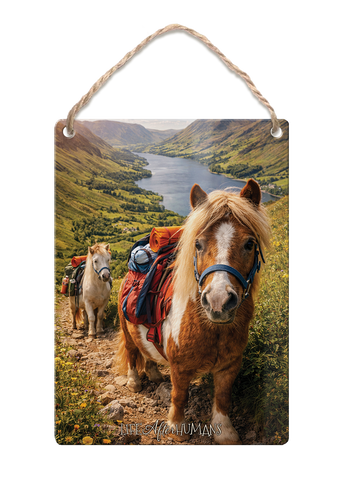 LIFE AFTER HUMANS - Pony Trekking