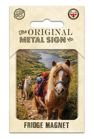 LIFE AFTER HUMANS - Pony Trekking