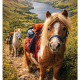 LIFE AFTER HUMANS - Pony Trekking