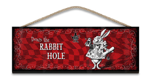 Alice in wonderland Down the Rabbit Hole fridge magnet
