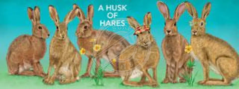 A Husk Of Hares