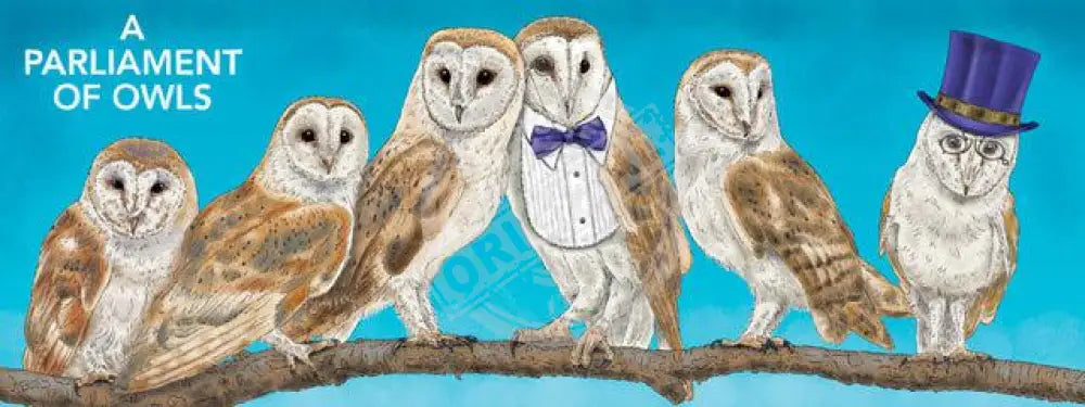 A Parliament Of Owls