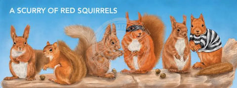 A Scurry Of Red Squirrels