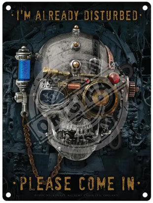 Alchemy I'm already disturbed. Please come in. Steampunk Skull