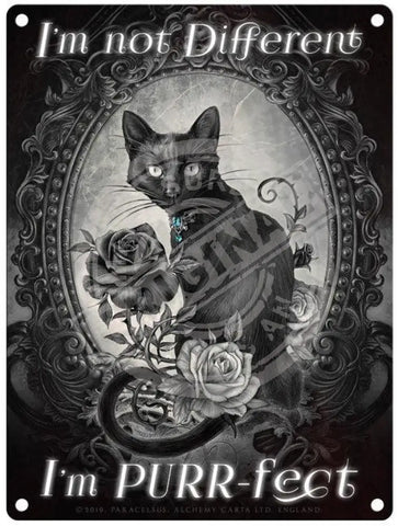 Alchemy I'm not different I'm purr-fect. Black Cat and mirror.