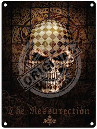 Alchemy The Resurrection checked skull.