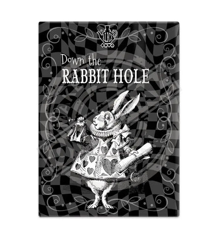 Alice in wonderland Down the Rabbit Hole metal wall sign 