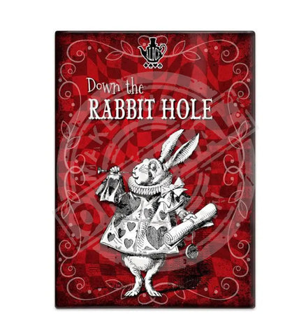 Alice in wonderland Down the Rabbit Hole fridge magnet