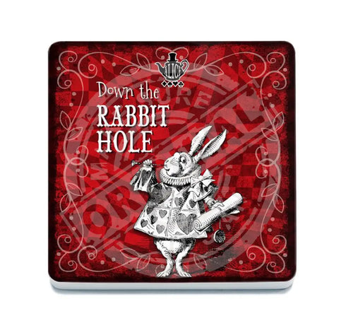 Alice in wonderland Down the Rabbit Hole fridge magnet