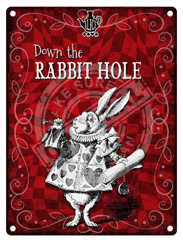 Alice in wonderland Down the Rabbit Hole fridge magnet