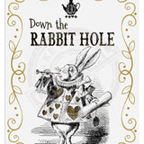 Alice in wonderland Down the Rabbit Hole metal wall sign 