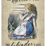 Alice In Wonderland - The Hurrier I Go Metal Signs