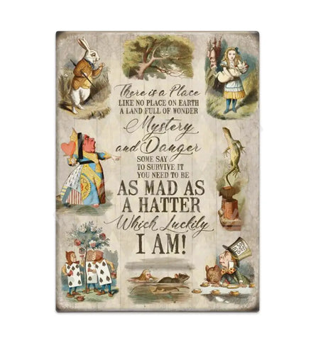 Alice In Wonderland - There Is A Place Fridge Magnet Metal Signs