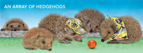 An array of hedgehogs