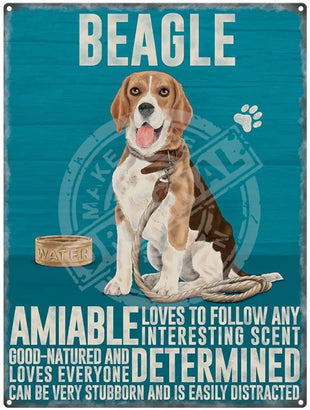 Beagle characteristics metal sign