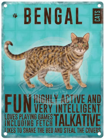 Bengal Cat characteristics sign