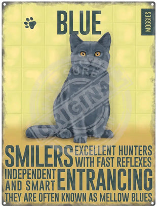 Blue Cat characteristics metal sign