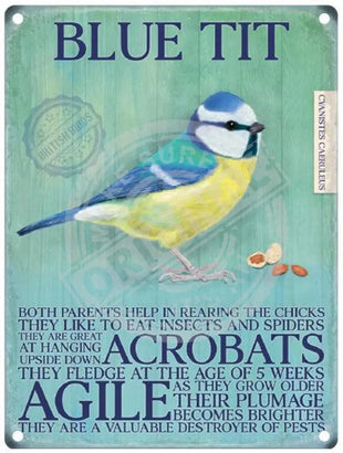 Blue Tit characteristics metal sign