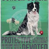 Border Collie characteristics metal sign