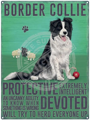 Border Collie characteristics metal sign