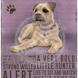 Border Terrier characteristics metal sign