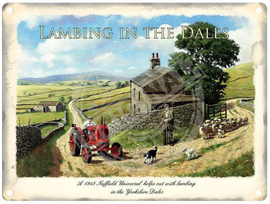 Lambing in the Dales metal sign