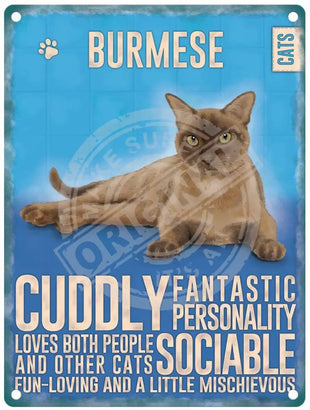 Burmese Cat characteristics metal signs